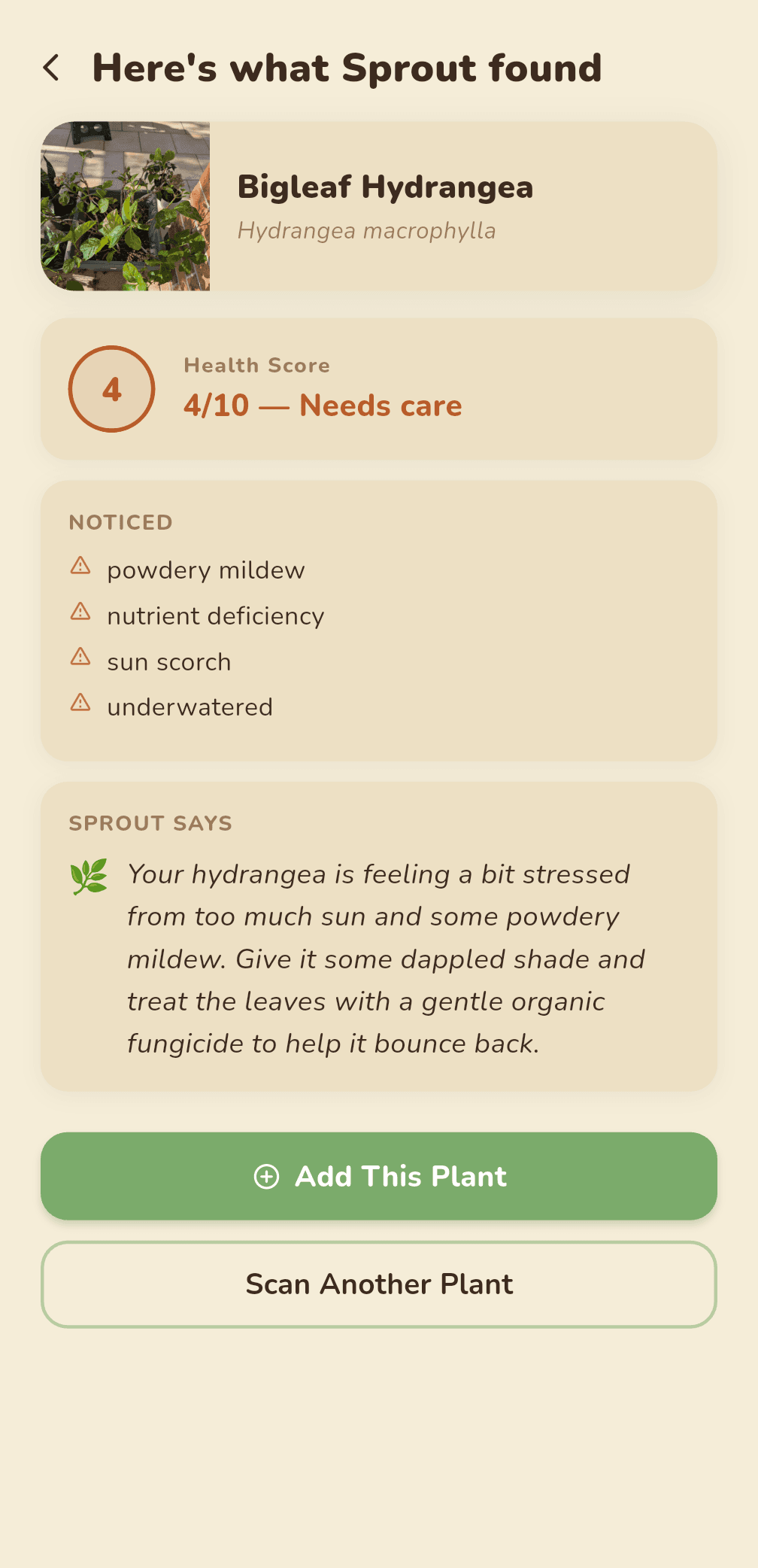 Scan result for Heavenly bamboo with a health score and noticed issues
